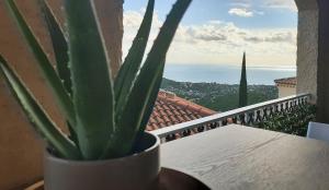 Appartement Le Celia 129 Rue des Fuchsias 83240 Cavalaire-sur-Mer Provence-Alpes-Côte d\'Azur