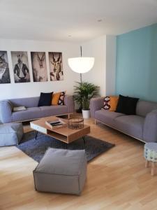 Appartement Le Centrale Etage 2 11 Rue Charles de Gaulle 88400 Gérardmer Lorraine