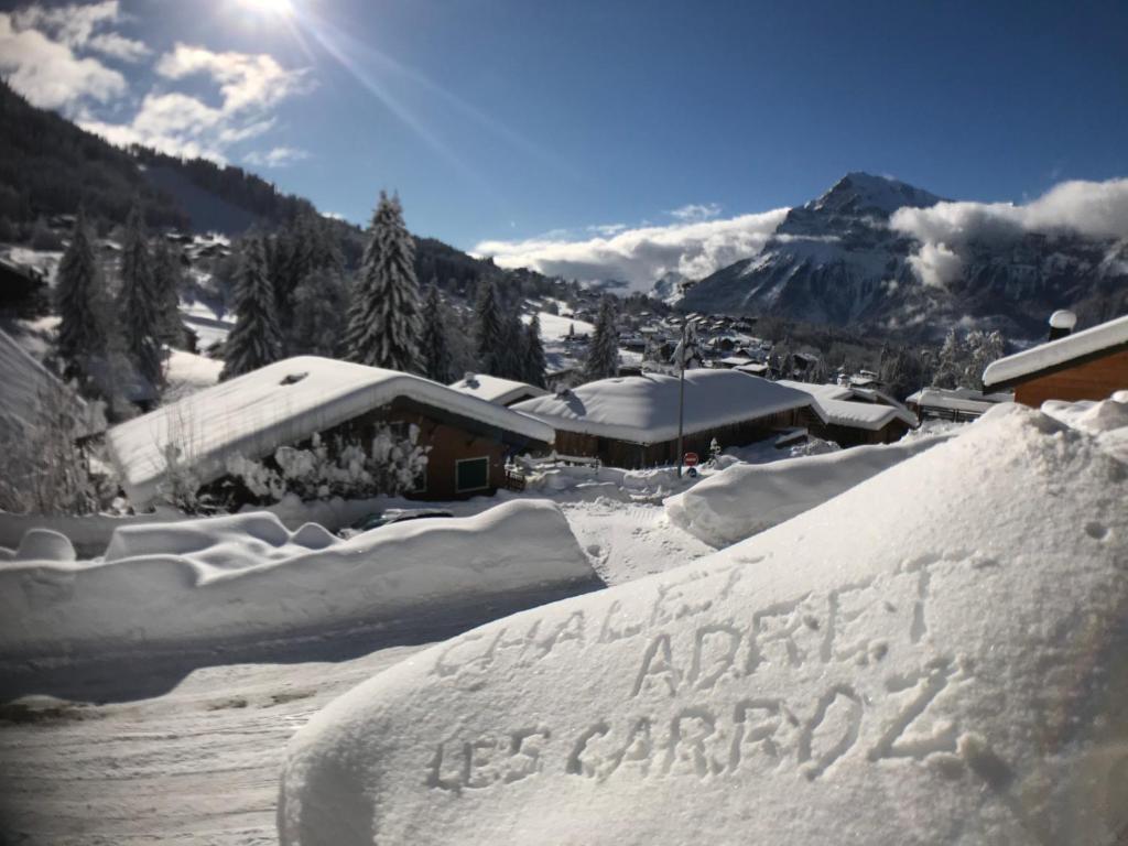 Appartement Le Chamois Chalet Adret 378 Route de la Télécabine 74300 Les Carroz d\'Arâches