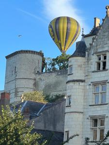 Le Charles VII - VIENNE