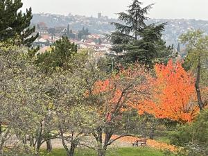 Appartement Le Charmant 18, Studio proche de toutes commodités 18 Rue des Hauts de Chanturgue 63100 Clermont-Ferrand Auvergne