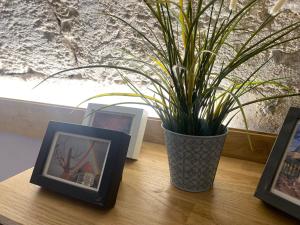 Le charme Rouennais - Appartement d'exception
