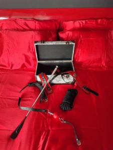 Le Chérubite: entre érotisme et baroque #sexroom #BDSM