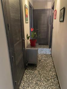 Appartement LE CHOUKI 122 Avenue de Genève 74000 Annecy Rhône-Alpes