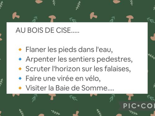 LE CISE EAU À bois