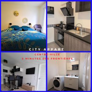 Le City appart des 3 frontières