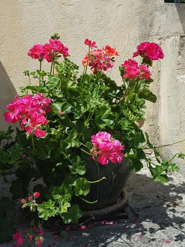 LE CLOS DES COLVERTS