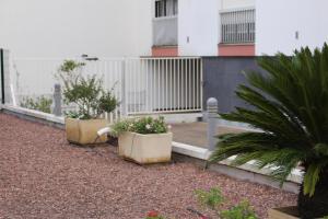LE CLUB - APPARTEMENT T3 Centre ville