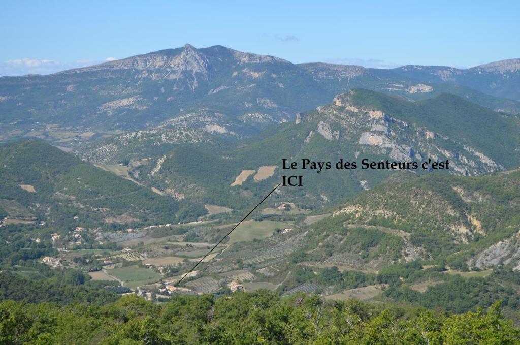 Le Cocon