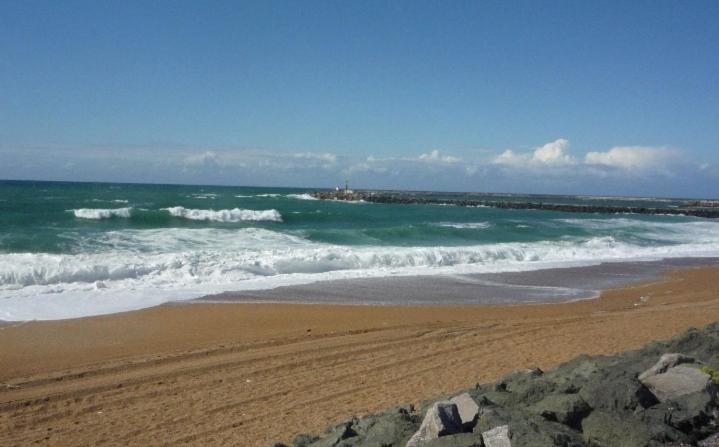 Appartement Le Cocon d'Aguilera à 200m du stade et 2km de la plage 106 Avenue de Biarritz 64600 Anglet