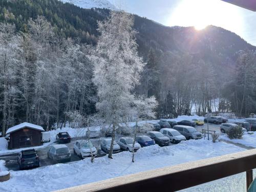 Le Cocon du Montjoie