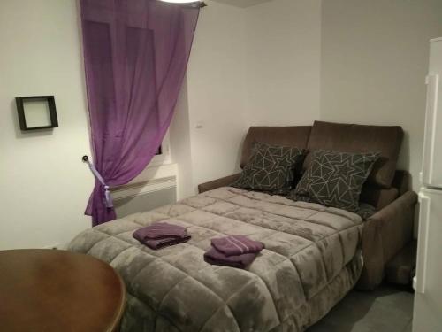 Le Cocon Violet - Vierzon - Wifi et Parking Inclus