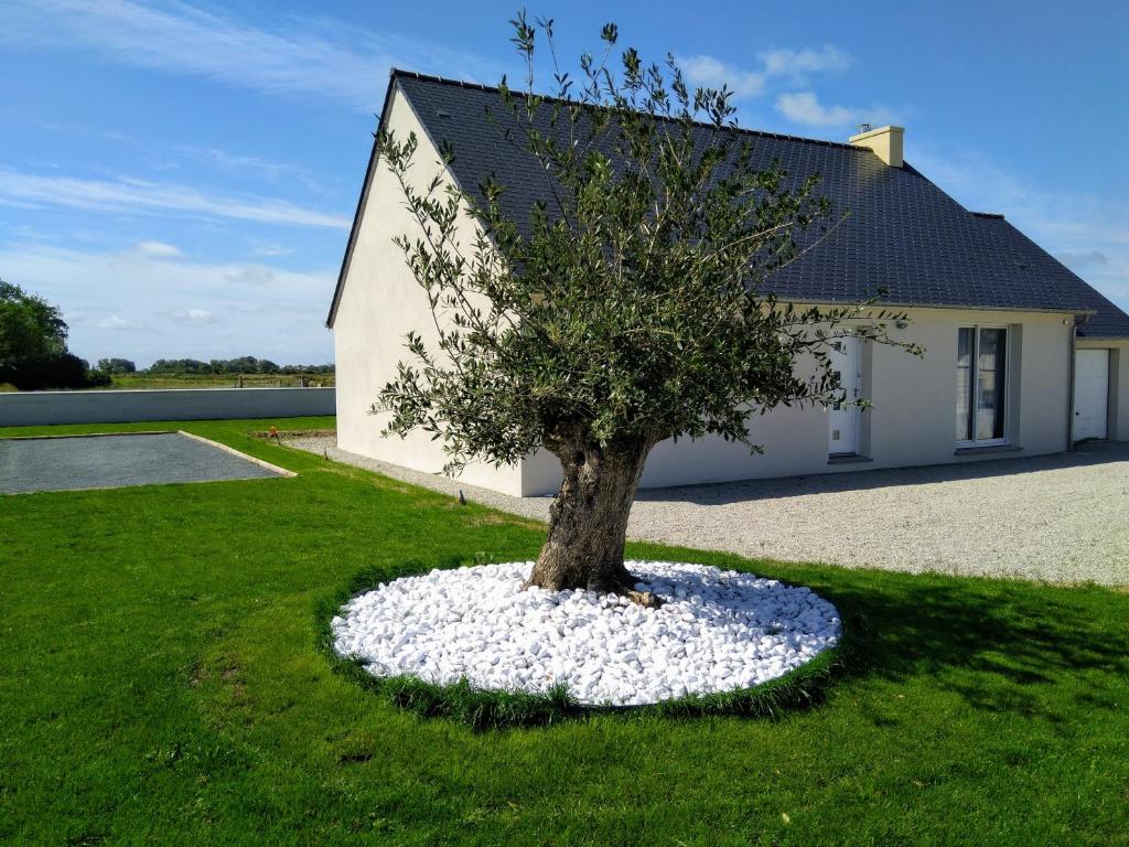LE COCOON DE SAINT JEAN PROCHE CLINIQUE DE L UNION 31240 Saint-Jean