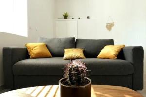 Le Cocoon - Studio City center