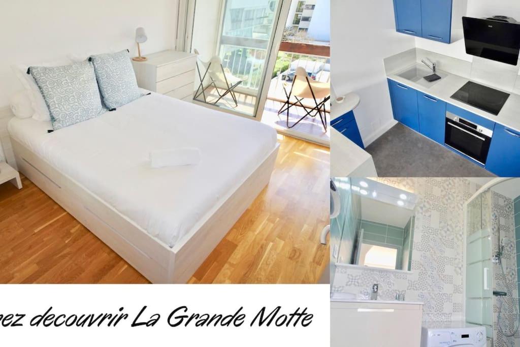 Appartement Le Cormorant 22 Rue du Port 34280 La Grande Motte