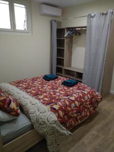 Appartement Le Cosy Bear 2 ième étage 6 Rue de la Lanterne 66100 Perpignan Languedoc-Roussillon