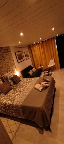 LE COSY Joli F2 proche gare, Arénes avec terrasse privée