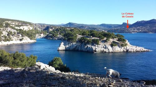 Le Coteau de Cassis