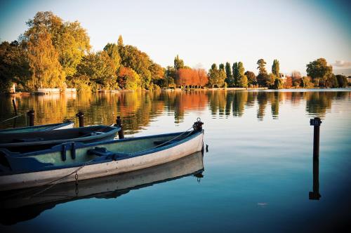 Le Cottage de Montmorency - Le Figuier -