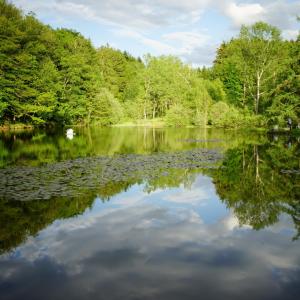 le Crusoé à l'étang d'Anty