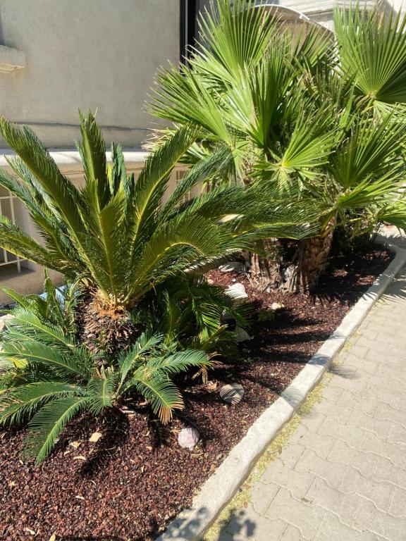 Le Duplex St Nicolas