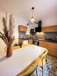 Appartement LE FIFTIES (central) 17 Rue de Roumanie 03200 Vichy Auvergne