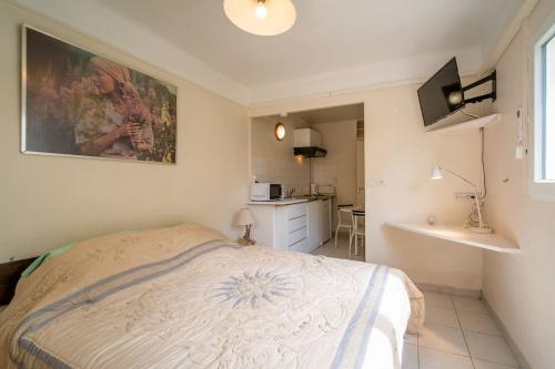 Le figuier air-conditioned studio and swimmin