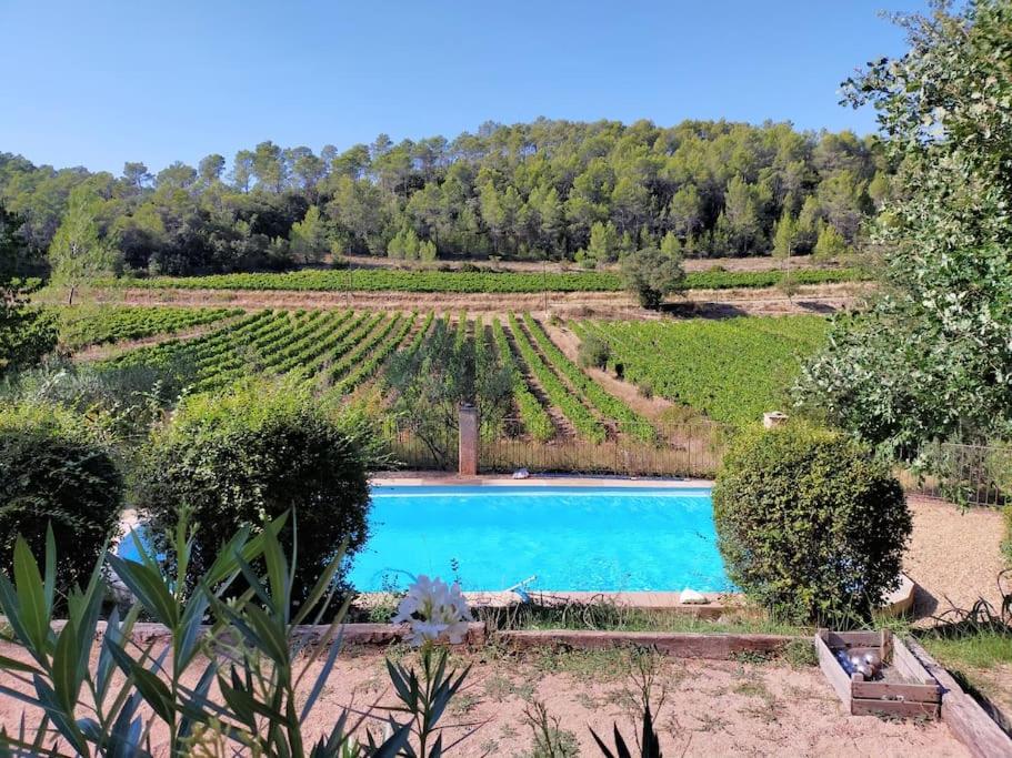 Le Figuier, suite en plein vignoble provençal 898 vieux chemin d'entrecasteaux chemin des chênes verts 83570 carces, 83570 Carcès