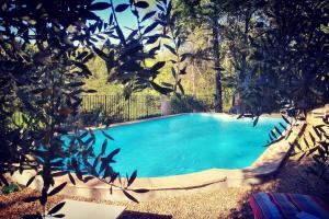 Le Figuier, suite en plein vignoble provençal
