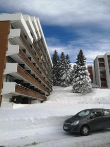 Appartement Le Flocon-Studio cabine-Balcon 4-6 Pers à 100m des pistes 319 Rue des Chardons Bleus 38410 Chamrousse Rhône-Alpes