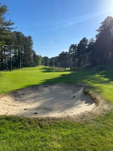 Le Green face au Golf, Vie panoramique