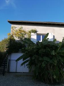 Appartement Le Grenier de Gaston 7 rue des tilleuls 47230 Thouars-sur-Garonne Aquitaine