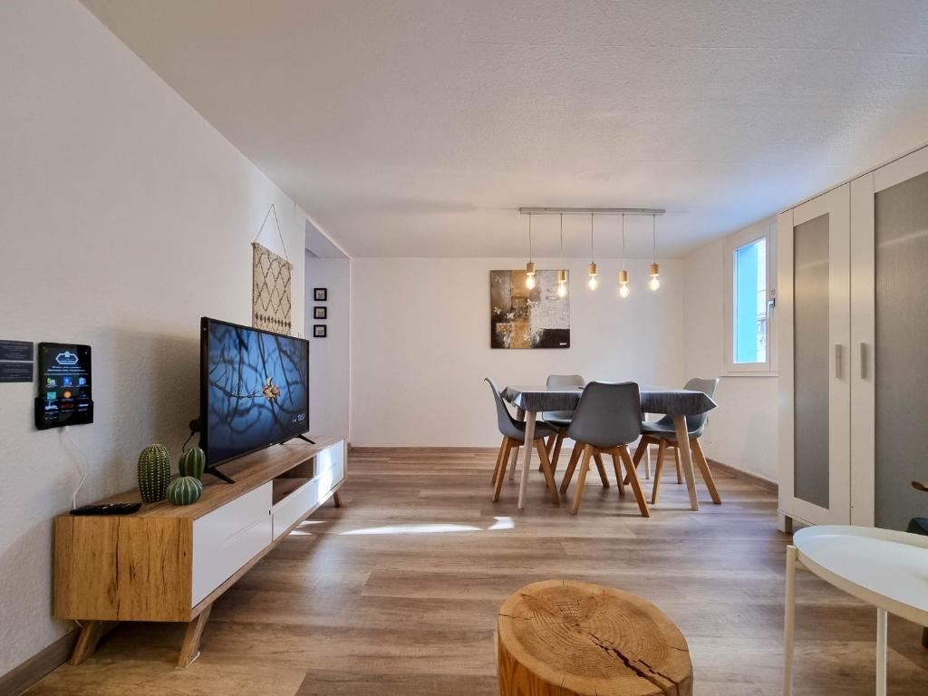 LE GRUFFAZ - Hyper centre, Balcon sur canal 74000 Annecy