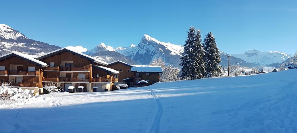 Appartement Le Gypaète 67 Impasse des Chalets du Praz 74440 Morillon