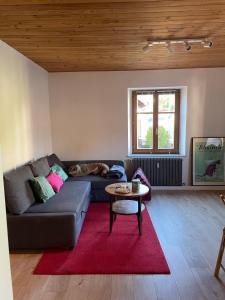 Appartement Le Hohwald centre appartement 2 pièces # 102 25 Rue Principale 67140 Le Hohwald Alsace