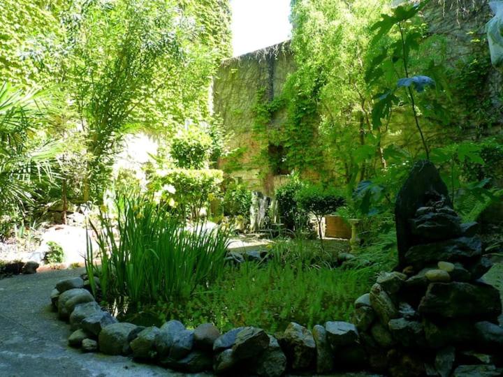 Le Jardin Antique Appartement RDC 4 Place Achille Jubinal, 65200 Bagnères-de-Bigorre