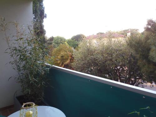 Le jardin des Lices