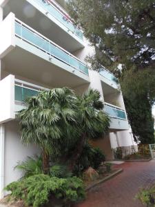 Le jardin des Lices