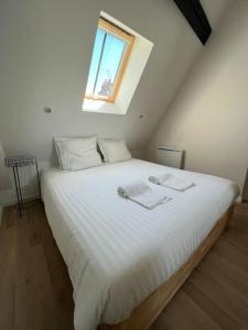 Le Jeannin : magnifique duplex 6 Prs - centre historique de Dijon
