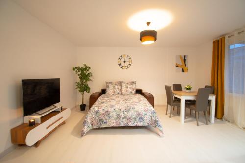 Le Joyau T2-55m2 Centre ville 10min Disney