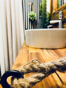 LE JUNGLE appartement en plein cœur de NIMES