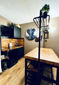 LE JUNGLE appartement en plein cœur de NIMES