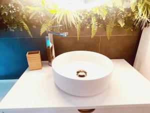 Le Jungle SPA ****