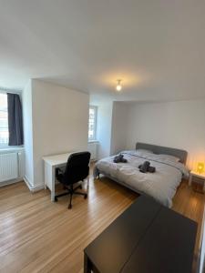 Appartement Le Krut' Appartement spacieux et lumineux de 108m2 Rue des Balayeurs 67000 Strasbourg Alsace