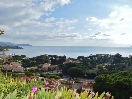 Appartement Le Lavandou, 1 pièce, 4 personnes - FR-1-251-306 Le Lavandou france