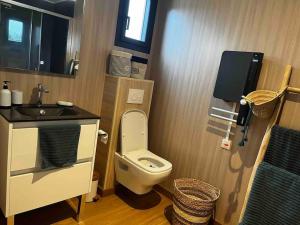 Appartement Le Lodge 18 Bis Route De Bazas 33830 Belin-Beliet Aquitaine