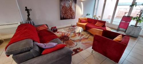 Le Loft De La Robine 110m2
