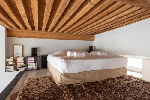 LE LOFT ETHNIC - avec jolie vue sur la Saône