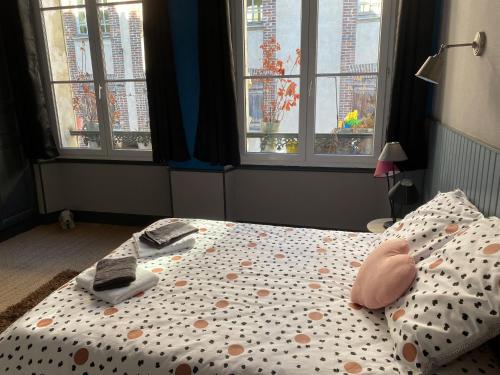le logis de Lancelot Elegant home City Center