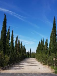 Appartement Le Mas de Paulette 20 Chemin du Rhône 13150 Mézoargues Languedoc-Roussillon